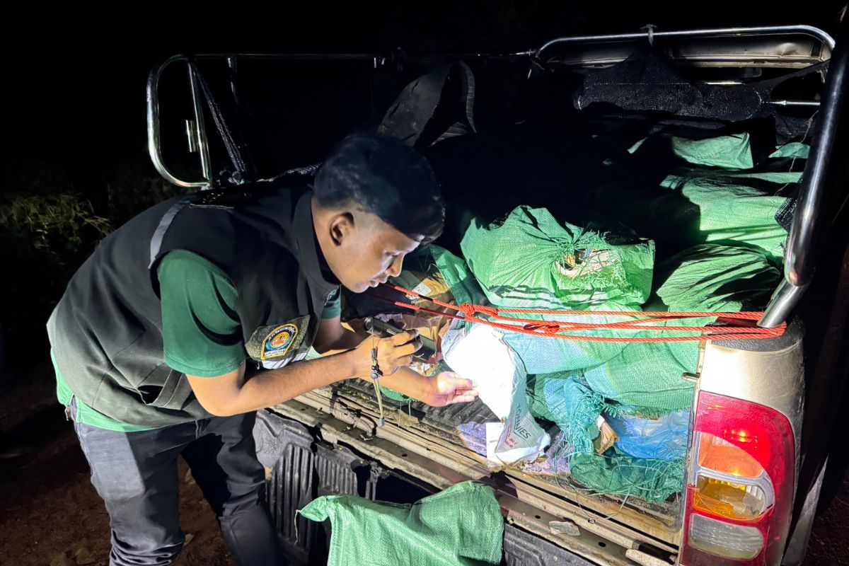 ชุดเฉพาะกิจ “พญานาคราช” ตรวจยึดหนังสุกร 860 กิโลกรัม โผล่ใน จ.มุกดาหาร
