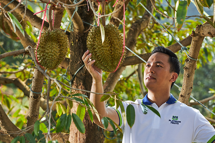 durian ณธกฤษ เอี่ยมสกุล