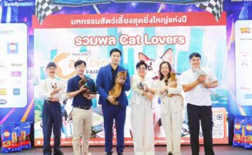 อิมแพ็คฯ เปิดตัวงานใหม่ เอาใจทาสแมว “Thailand Cat Lovers Fair ครั้งที่ 1” 