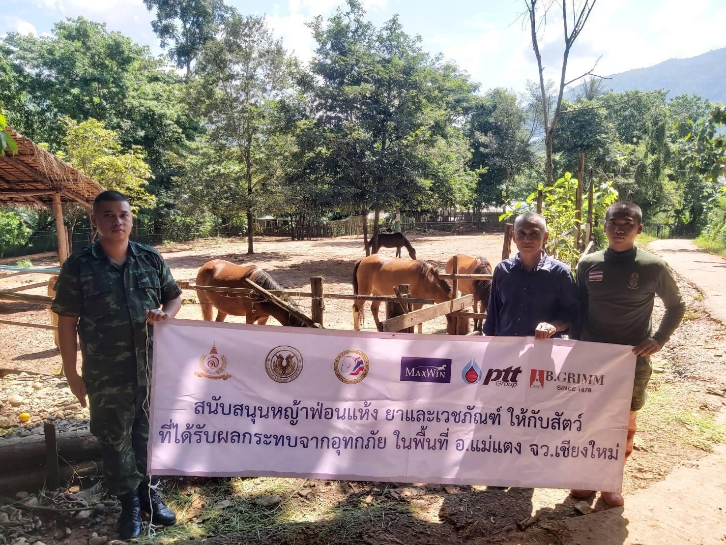 บี.กริม ร่วมกับ กรมการสัตว์ทหารบก หน่วยม้าทรงประจำพระองค์