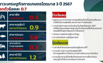 จับตา GDP เกษตร Q3 หดตัวร้อยละ 0.7 จากปรากฏการณ์ เอลนีโญ-ลานีญา สศก.
