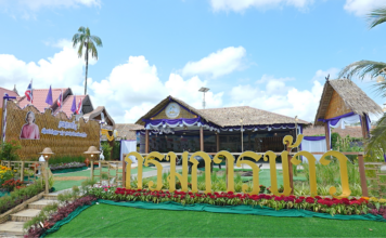กรมการข้าวชู 'ซีบูกันตัง 5' และ 'หอมกระดังงา 59' มรดกข้าวพื้นเมืองใต้