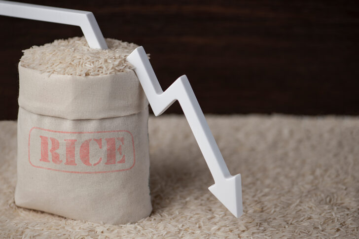 rice1 ข้าว
