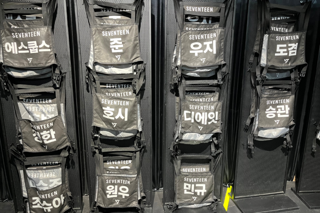 SEVENTEEN TOUR “FOLLOW”