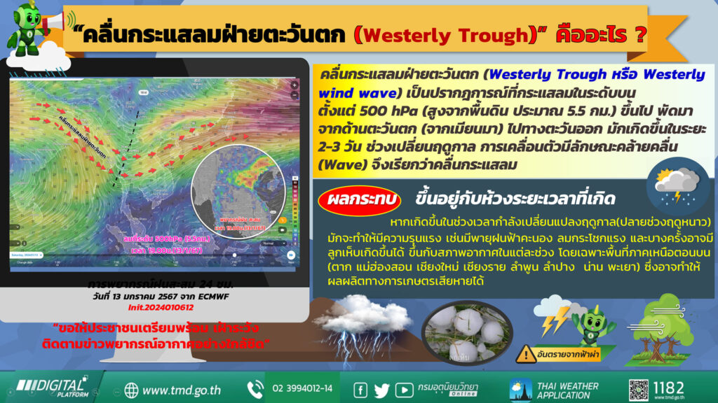 คลื่นกระแสลมฝ่ายตะวันตก (Westerly Trough หรือ Westerly wind wave)