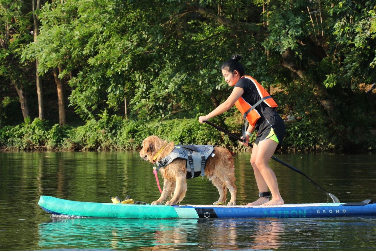 ททท.กาญจน์ เปิดรับสมัคร กระดานยืนพาย “SUP ลุ่มแม่กลอง” 21 ธ.ค.นี้