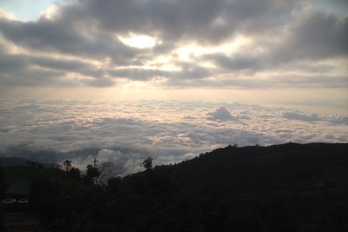 สภาพอากาศ (23 พ.ย.) ไทยตอนบนอากาศเย็น กทม.-ปริมณฑล อุณหภูมิต่ำสุด 23-26 องศา