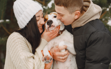 Pet Parent