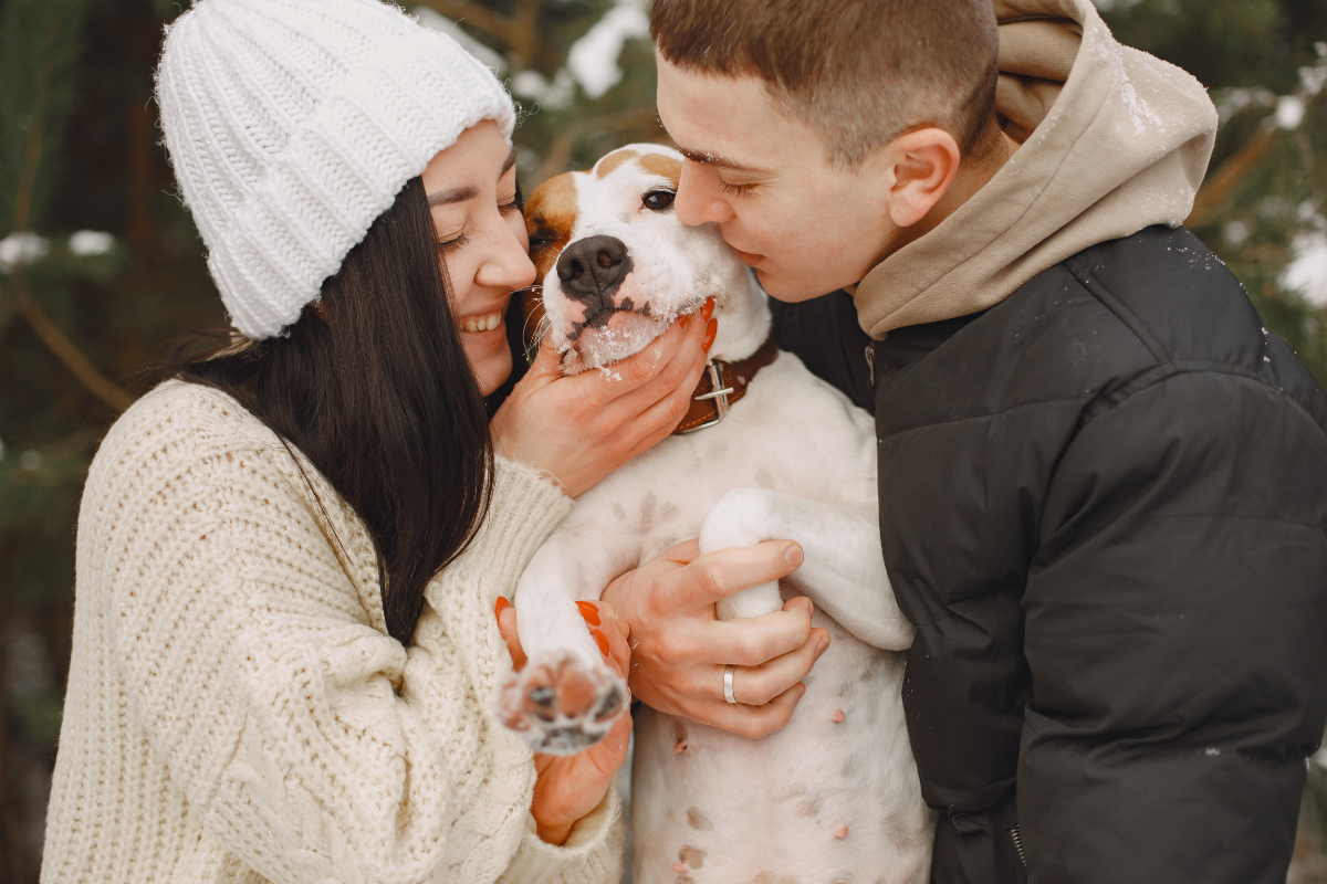 คนโสดพุ่ง ครอบครัวเดี่ยวเพิ่ม “Pet Parent” บูม-ธุรกิจสัตว์เลี้ยงเติบโต