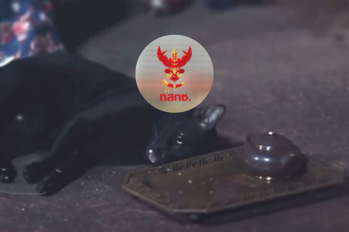 เส้นบาง ๆ ของจริยธรรมต่อ “สัตว์” ในอุตสาหกรรมการแพร่ภาพ