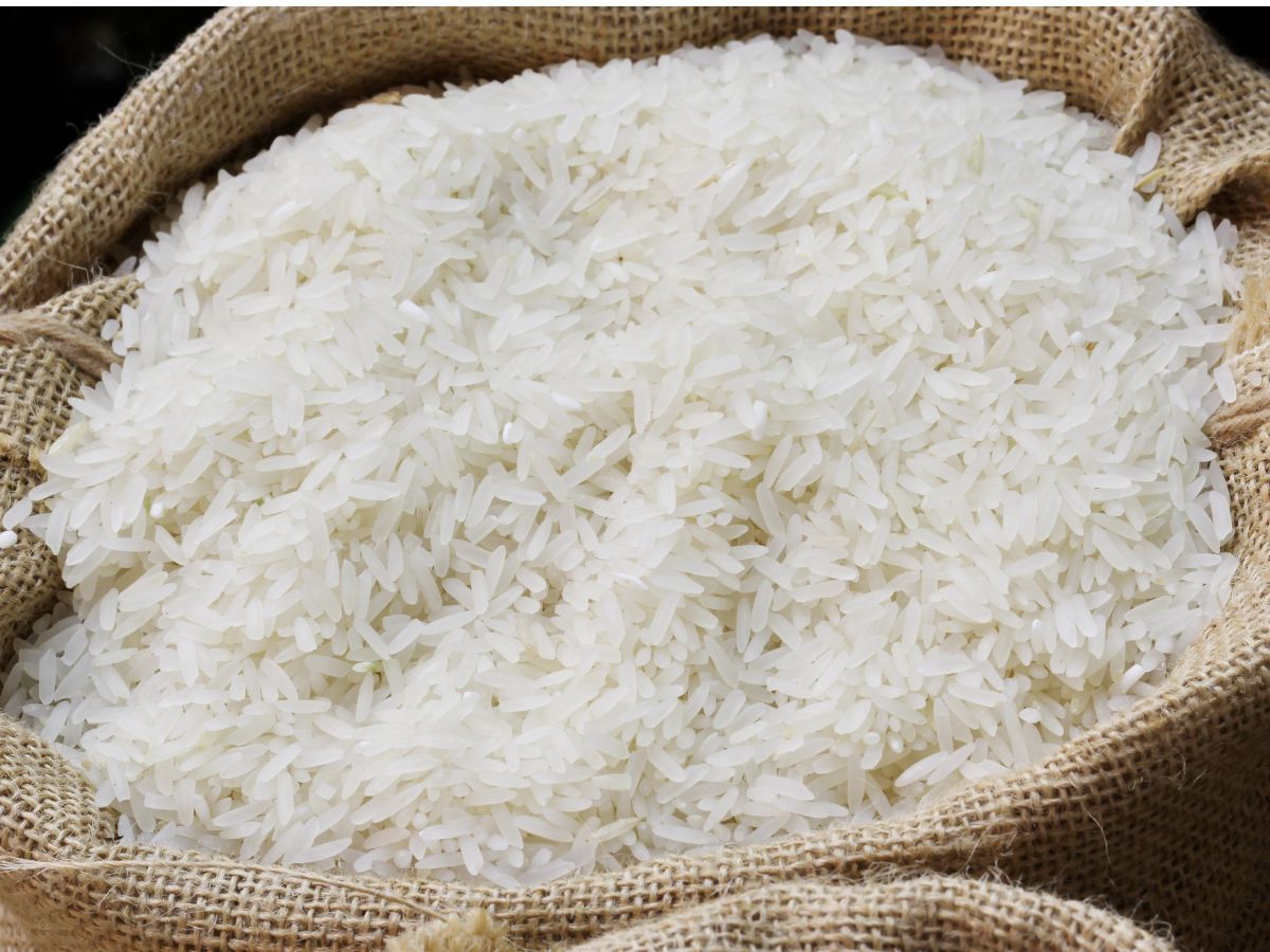 ไทยส่งออกข้าวปี 2567 ปริมาณ 9.95 ล้านตัน เพิ่มขึ้น 13% สูงที่สุดในรอบ 6 ปี