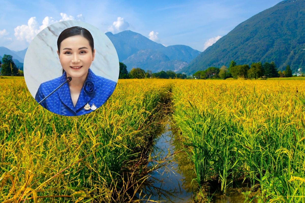 แจ้งข่าวดีให้ชาวนา น้ำทำนาปรังทั่วประเทศ 10.02 ล้านไร่ เพิ่มขึ้นเพียงพอแน่นอน
