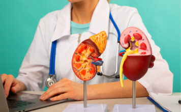 kidney