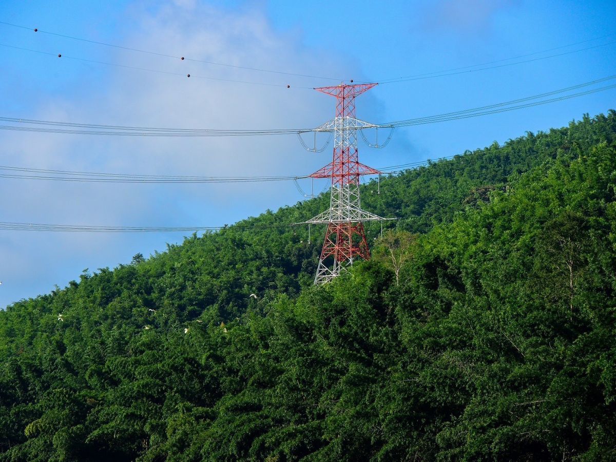 CKPower โชว์ Q3/67 กวาดรายได้ 2.9 พันล้าน รับยอดขายไฟฟ้า NN2 พุ่ง
