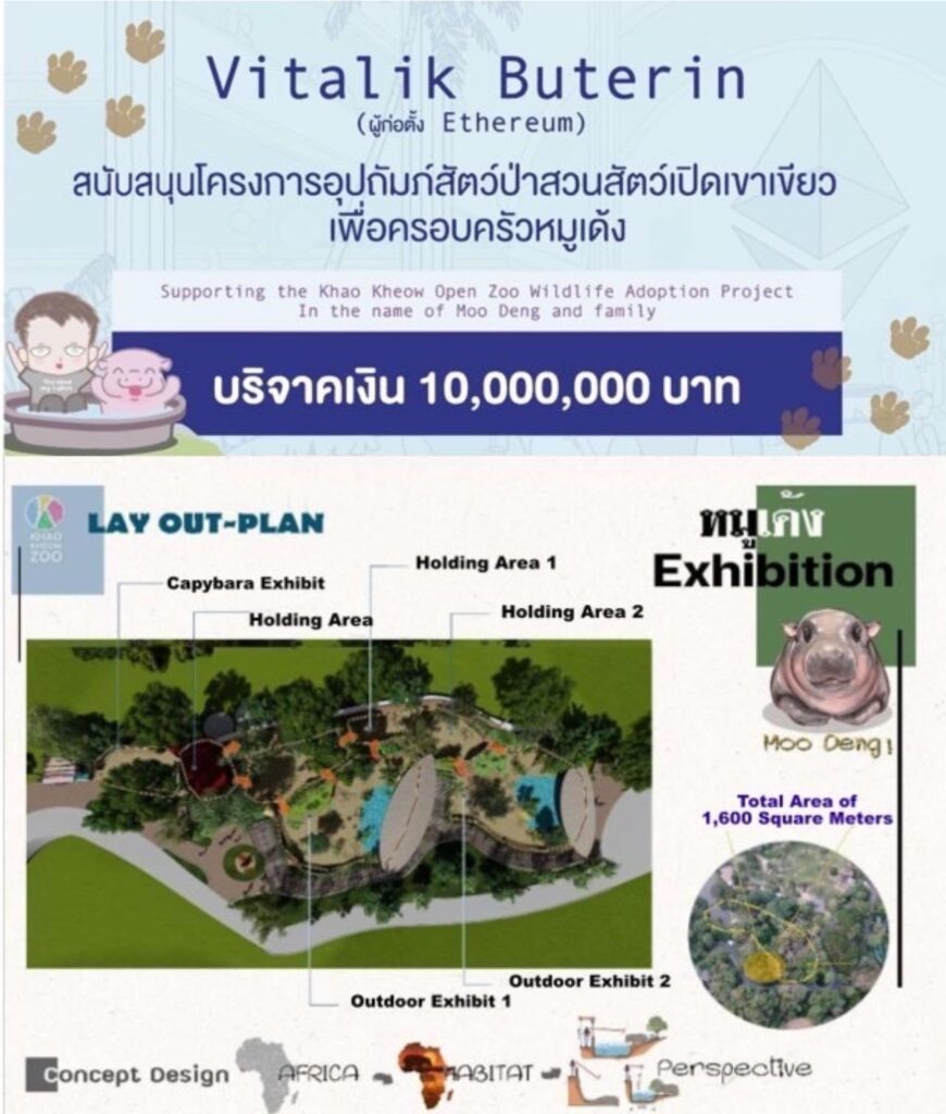 หมูเด้ง