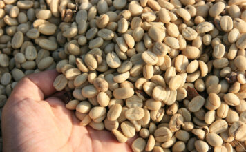 CoffeeT