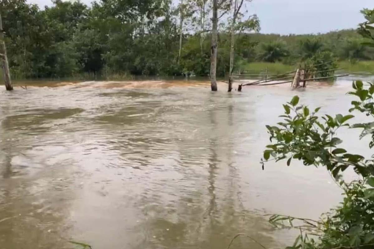 Flooding rice fields