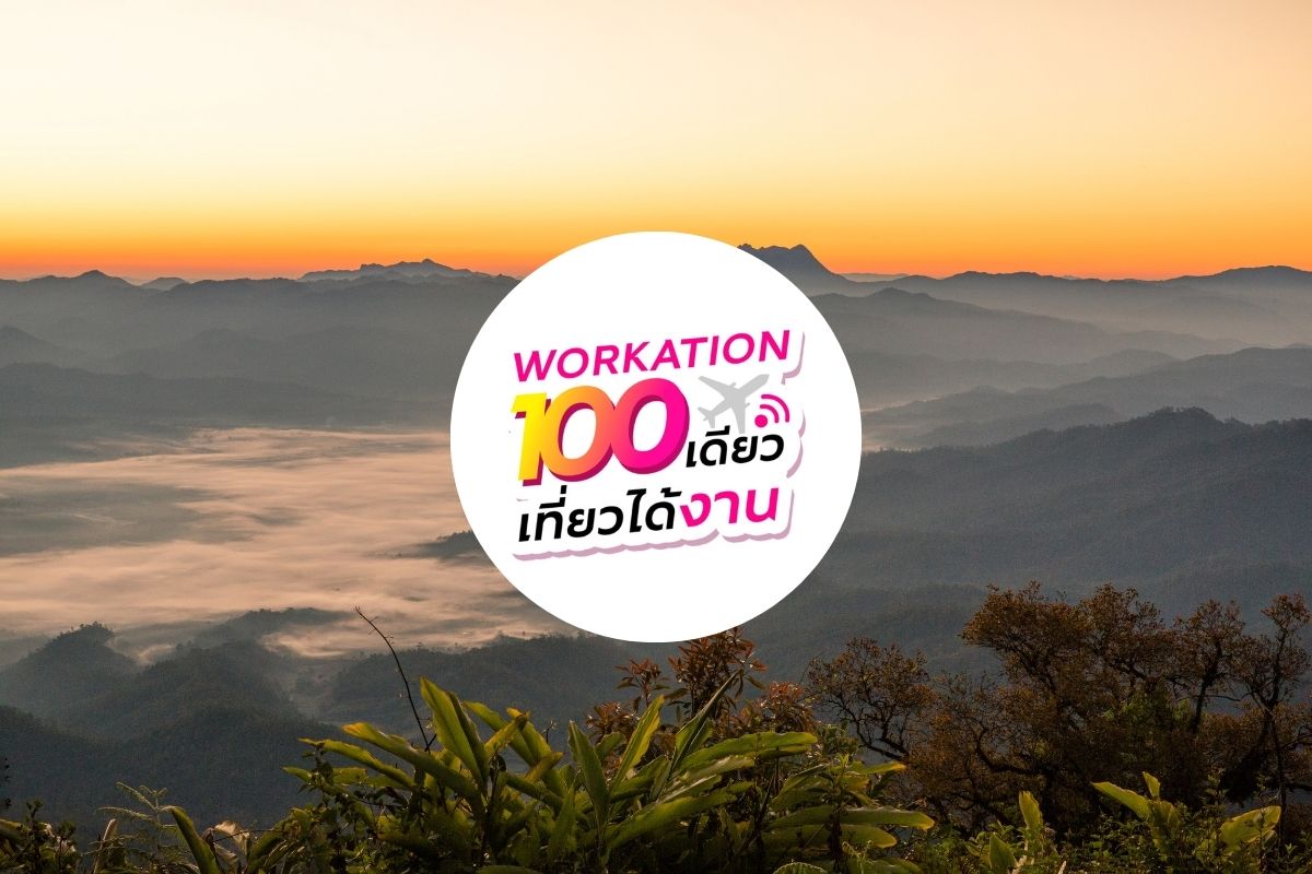 เริ่มแล้ว “100 เดียวเที่ยวได้งาน” ททท. ปล่อย Voucher ท่องเที่ยวเพียบ