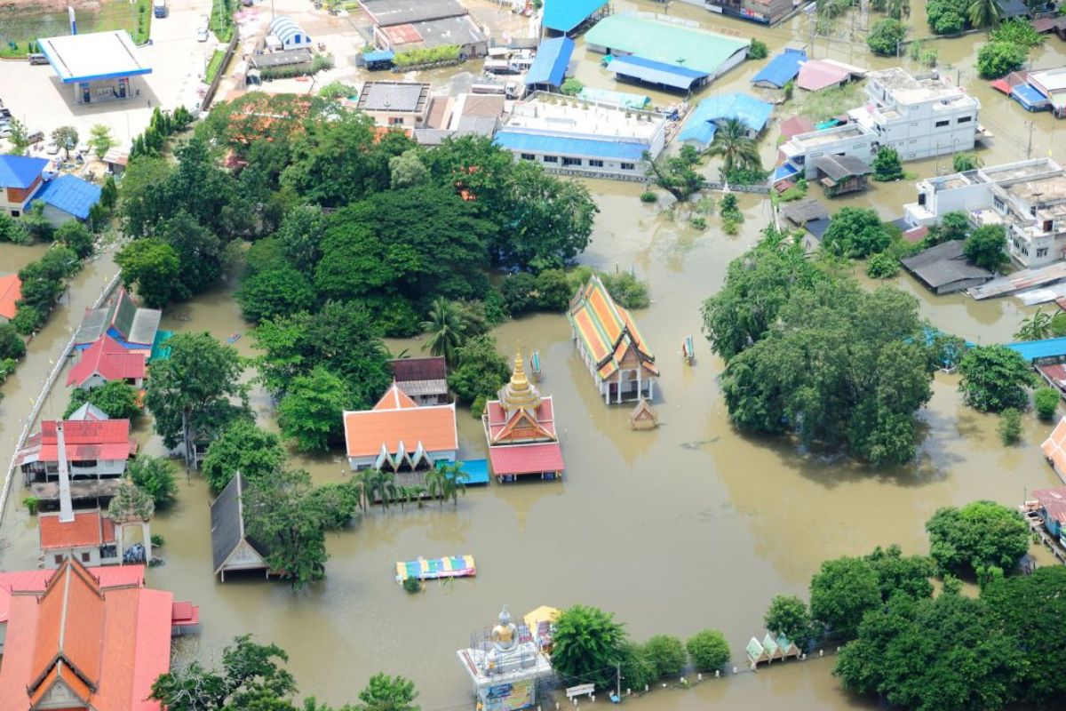 สรุปวิกฤตด้านสิ่งแวดล้อม ปี 2567 ประเทศไทยเจออะไรบ้าง
