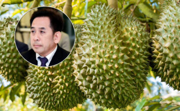 durian