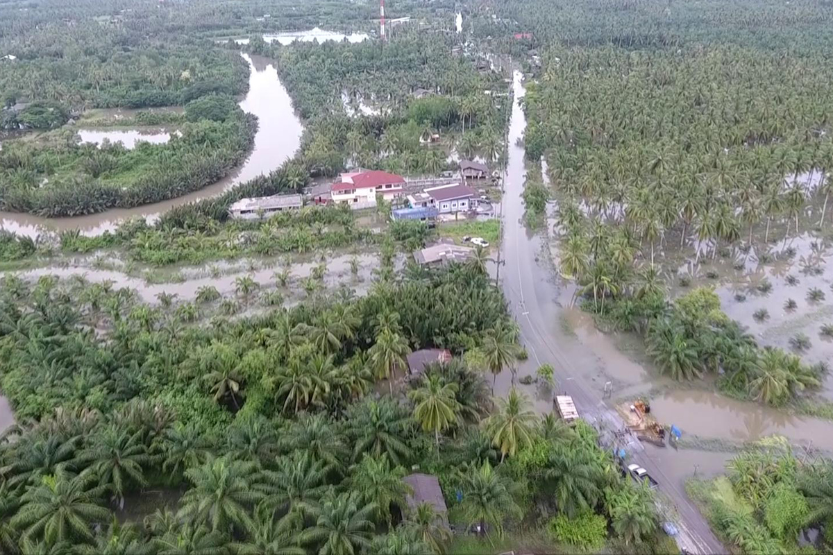 ทุเรียนใต้โดนน้ำท่วมยืนต้นตาย 11 จังหวัดพืชเกษตรเสียหายรวม 2 แสนไร่