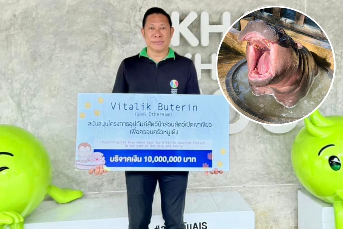 วาสนาเซเลบสาว Vitalik Buterin บริจาค 10 ล้านบาท สร้างบ้านใหม่ให้ “หมูเด้ง”