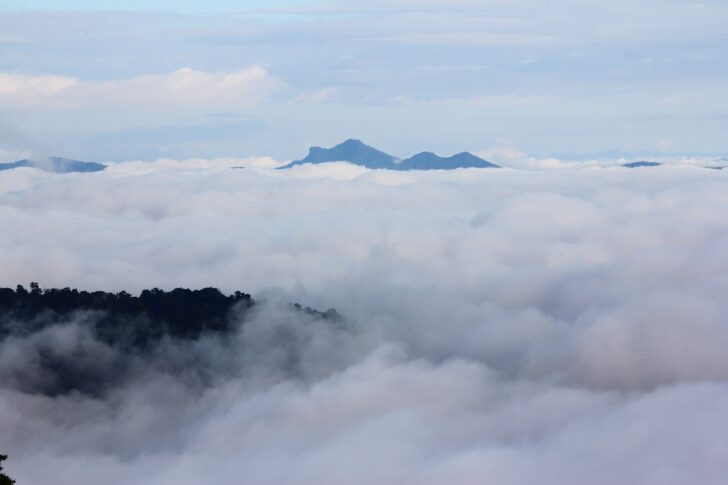 .กรมอุตุฯ เผย ไทยอุ่นขึ้น มีหมอกในตอนเช้า ภาคใต้ตอนล่างฝนตกเล็กน้อย.