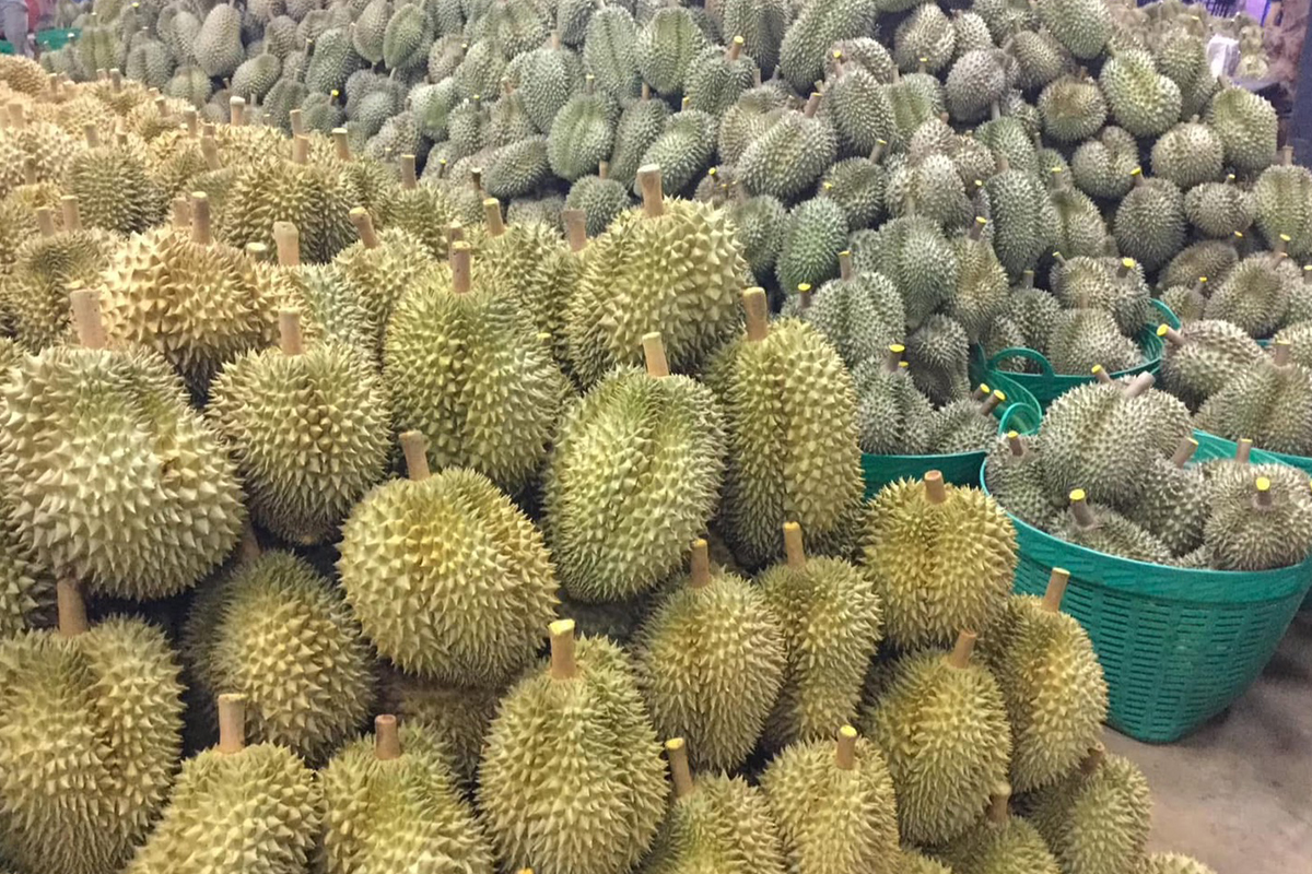 ทุเรียน