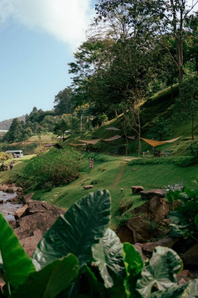Waterfall Music Festival เชียงใหม่