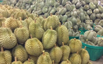 Dyed Durian