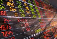stock market