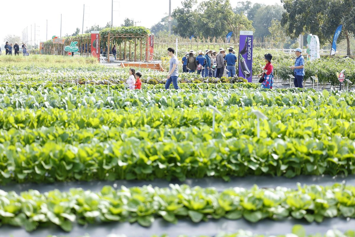 เจียไต๋ แฟร์ 2025 เริ่มแล้ว ขนพันธุ์พืช 600 สายพันธุ์ ตอกย้ำเกษตรอัจฉริยะ