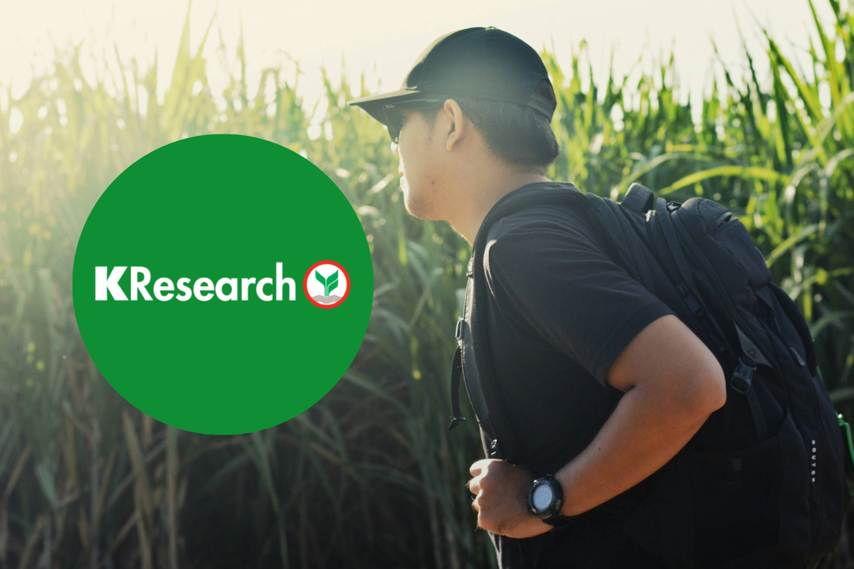 KResearch คาดปี’68 ต่างชาติเที่ยวไทย 37.5 ล้านคน เผชิญ 4 ปัจจัยรั้งโต