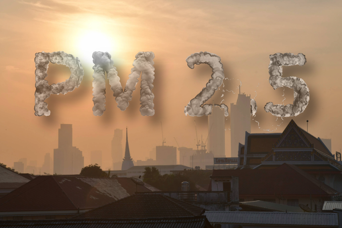 ม.เกษตรฯ ยืนยัน การเผา-การจราจร ต้นตอฝุ่น PM 2.5 ในพื้นที่ กทม.