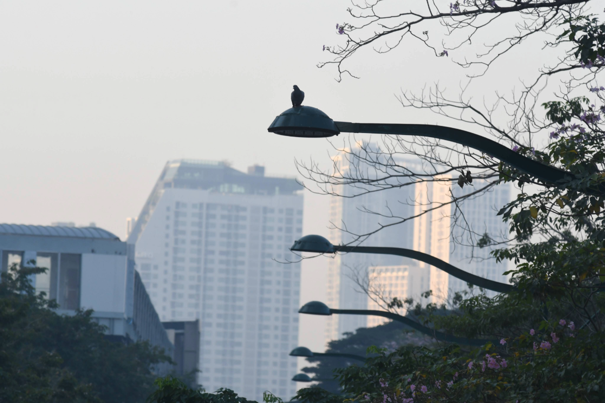 กรมแพทย์เตรียมพร้อม รพ.-คลินิกมลพิษออนไลน์ รับมือฝุ่น PM 2.5
