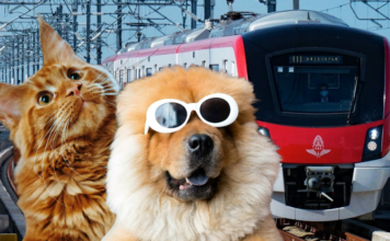 รถไฟฟ้าสายสีแดง Pet Friendly Train สัตว์เลี้ยง