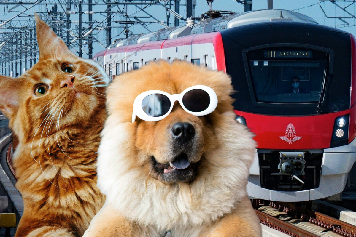 รถไฟฟ้าสายสีแดง Pet Friendly Train สัตว์เลี้ยง