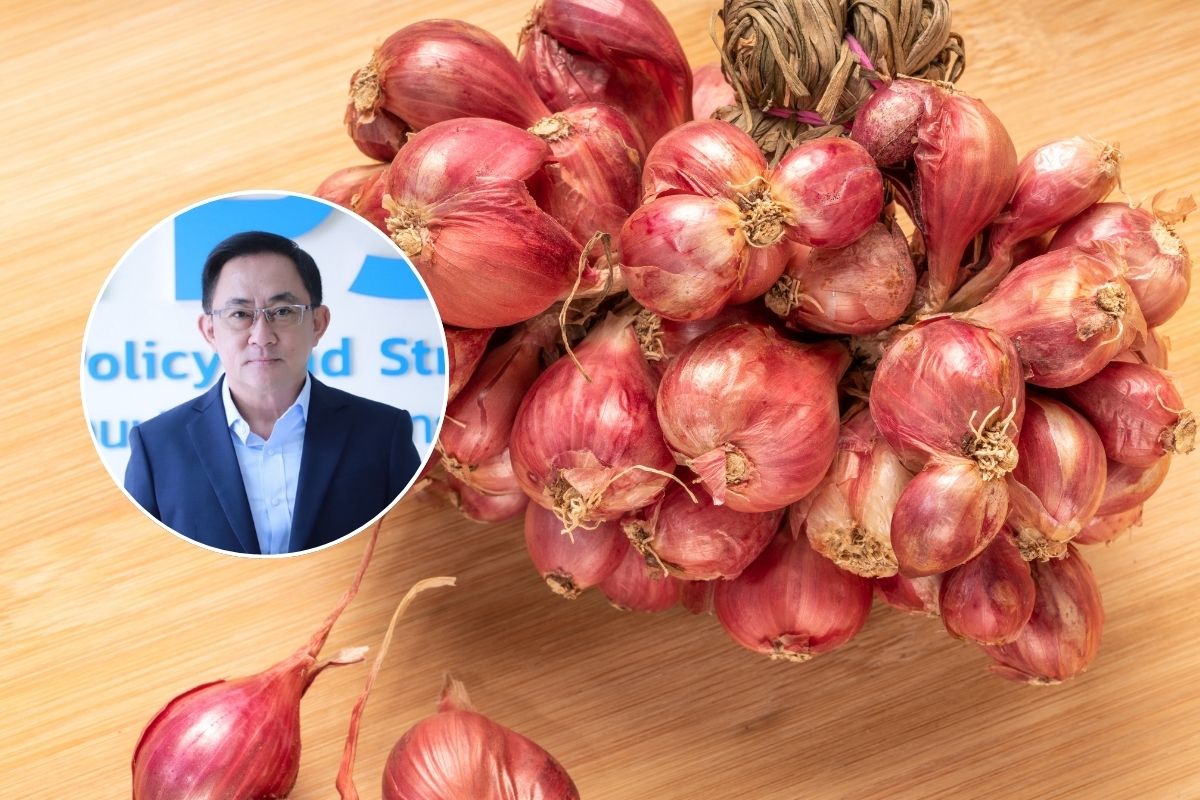 พาณิชย์ ยกระดับหอมแดงไทย เจาะตลาดส่งออกต่างประเทศ
