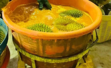 durian