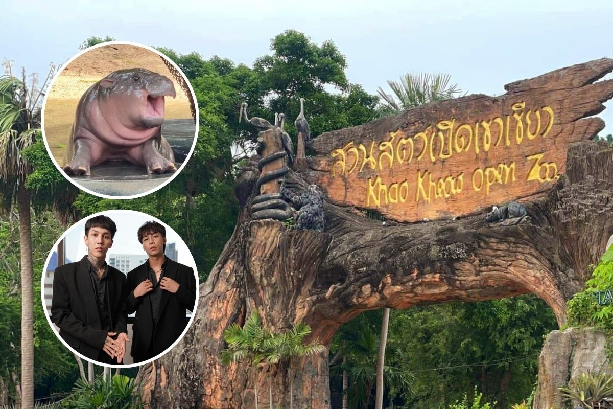 งานวันเด็ก 2568 ดูหมูเด้ง-ชมมินิคอนเสิร์ต Paper Planes