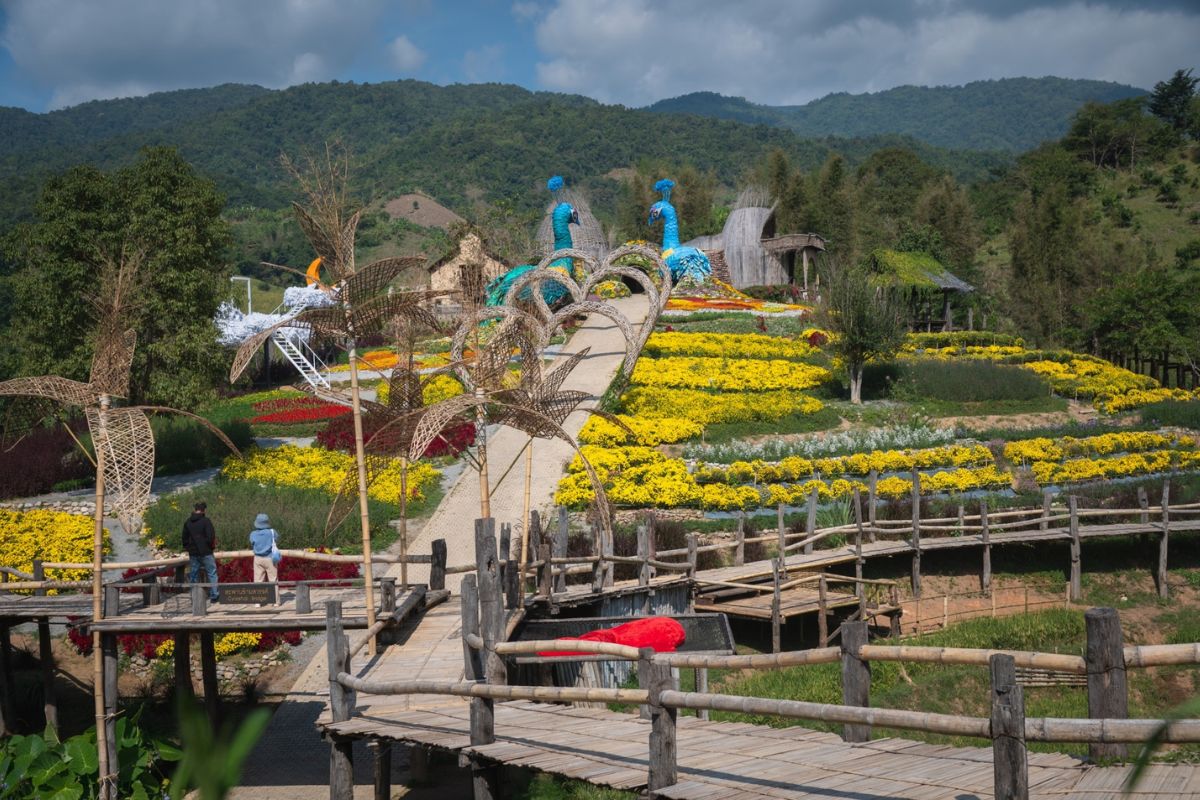 มูลนิธิแม่ฟ้าหลวงฯ ประกาศนิวเอส เคิร์ฟ “ที่ปรึกษาด้านความยั่งยืน”