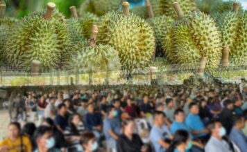 Durian problem