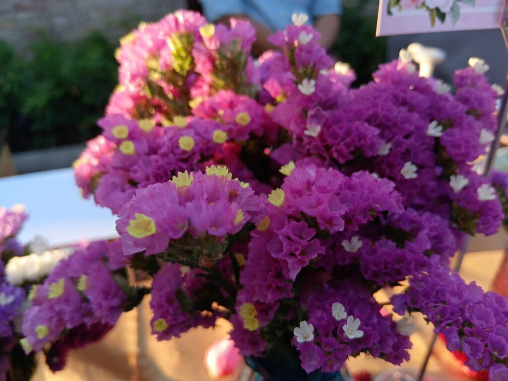 ดอกไม้
