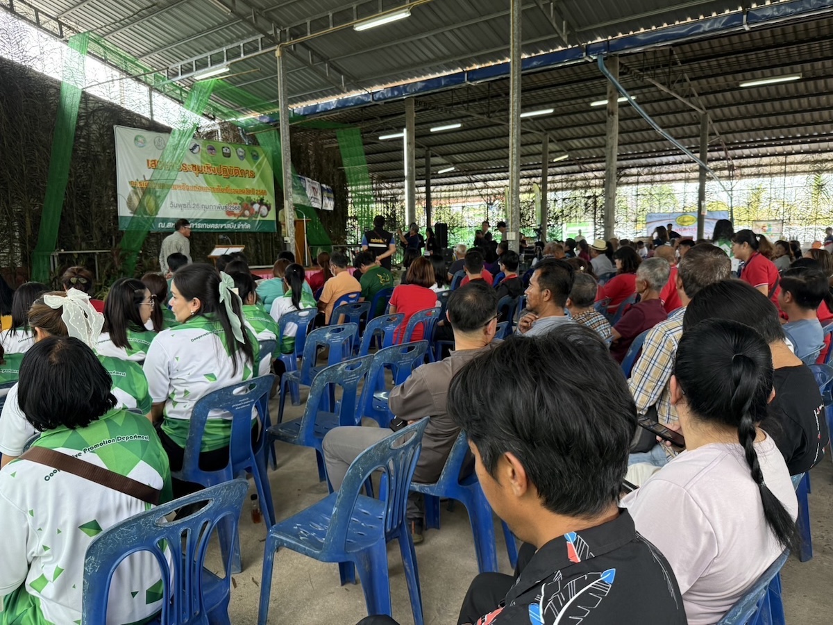 ประชุมทุเรียน
