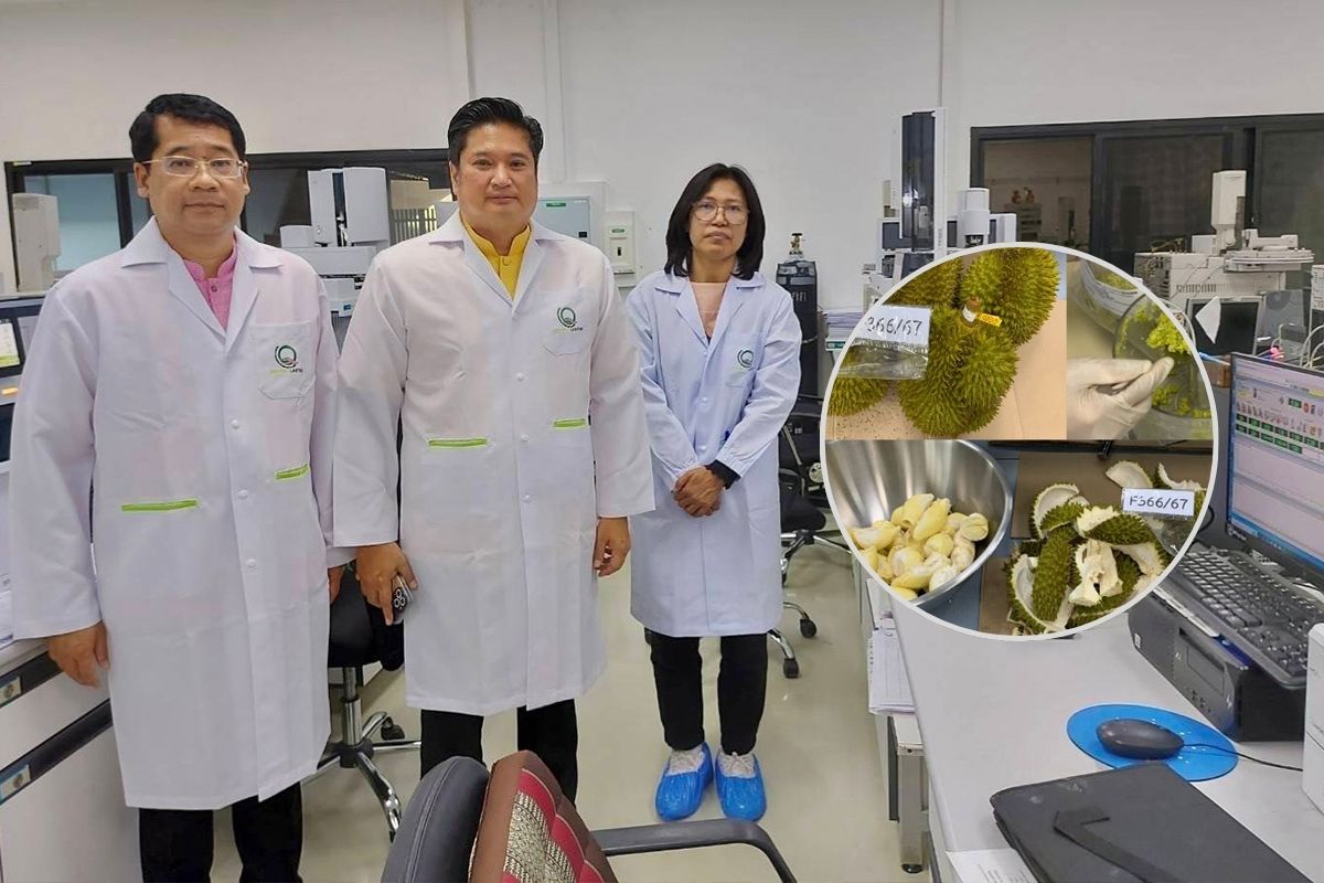 ข่าวดี ! ไทยมี Lab ตรวจ BY2 เพิ่มรวม 8 Lab รองรับผลผลิตทุเรียนตะวันออก