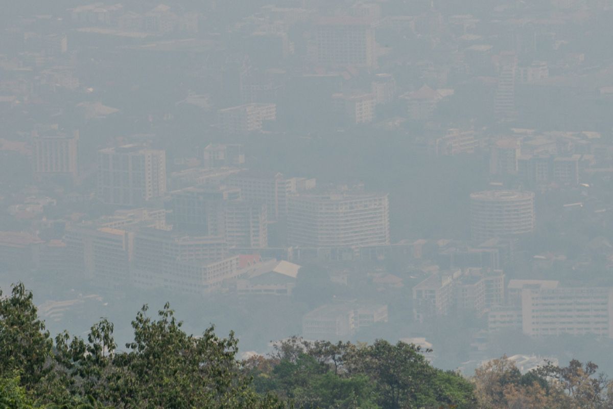 ยังสับสน ! ฝุ่น PM 2.5 ไม่ได้เกิดจากการเผา หวั่นกระทบวิธีแก้ฝุ่นรัฐบาล