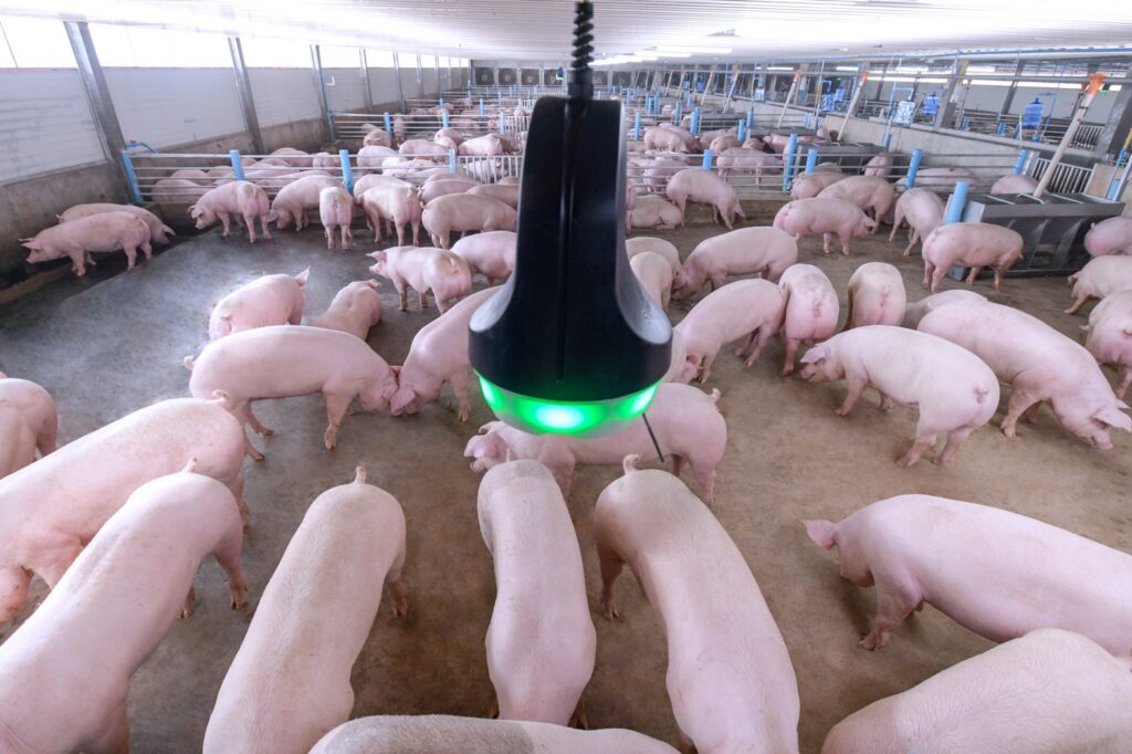 Smart Farm ก้าวสู่เกษตรเทคโนโลยี Agri Tech