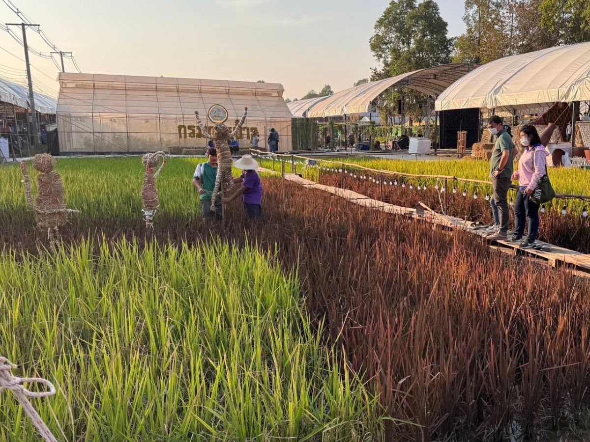 งานเกษตรภาคอีสานปี’68 ทุบสถิติผู้เข้าชม หลังเงินสะพัดกว่าพันล้านบาท