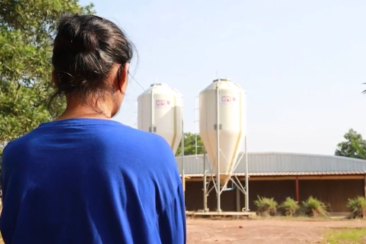 เกษตรกรยุคใหม่ต้องรู้จัก Agri Tech วิธีประยุกต์ธุรกิจสู่เกษตรเทคโนโลยี