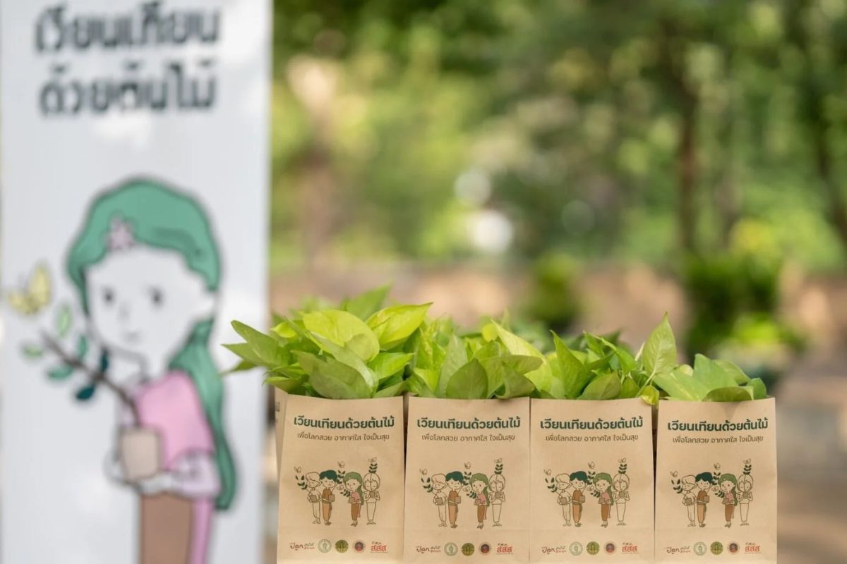 มาฆบูชา 2568 ทำบุญวิถีใหม่ เวียนเทียนต้นไม้ กว่า 100 วัดทั่วไทย